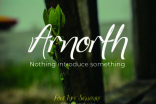 Arnorhth: A Fun Display Font That Brings Character to Branding