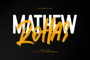 Using Mathew Rohas Brush Duo for Bold Web Design